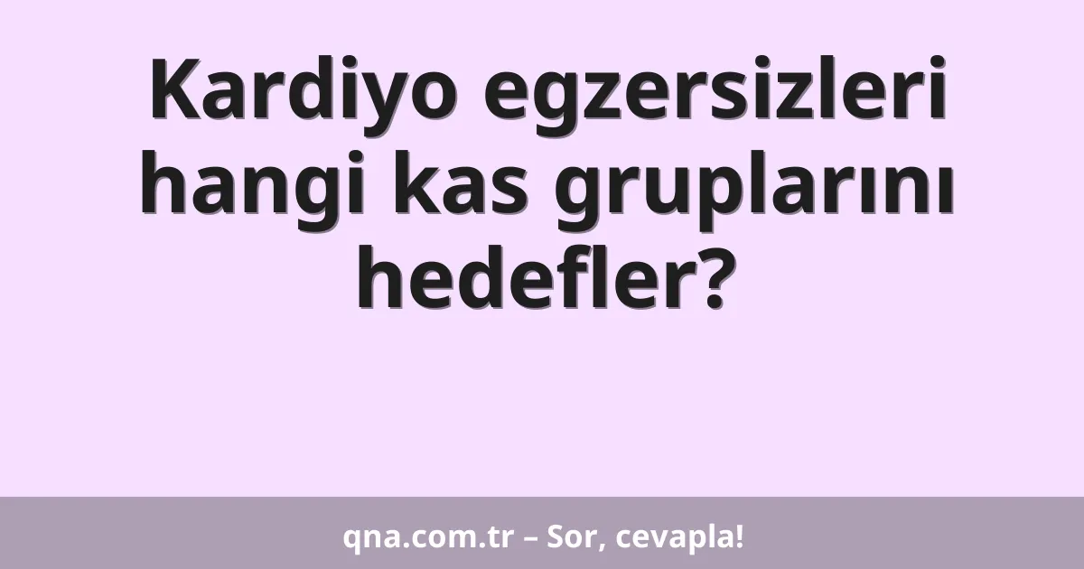 Kardiyo egzersizleri hangi kas gruplarını hedefler?