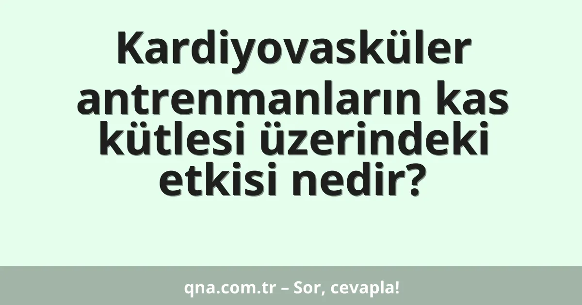 Kardiyovasküler antrenmanların kas kütlesi üzerindeki etkisi nedir?