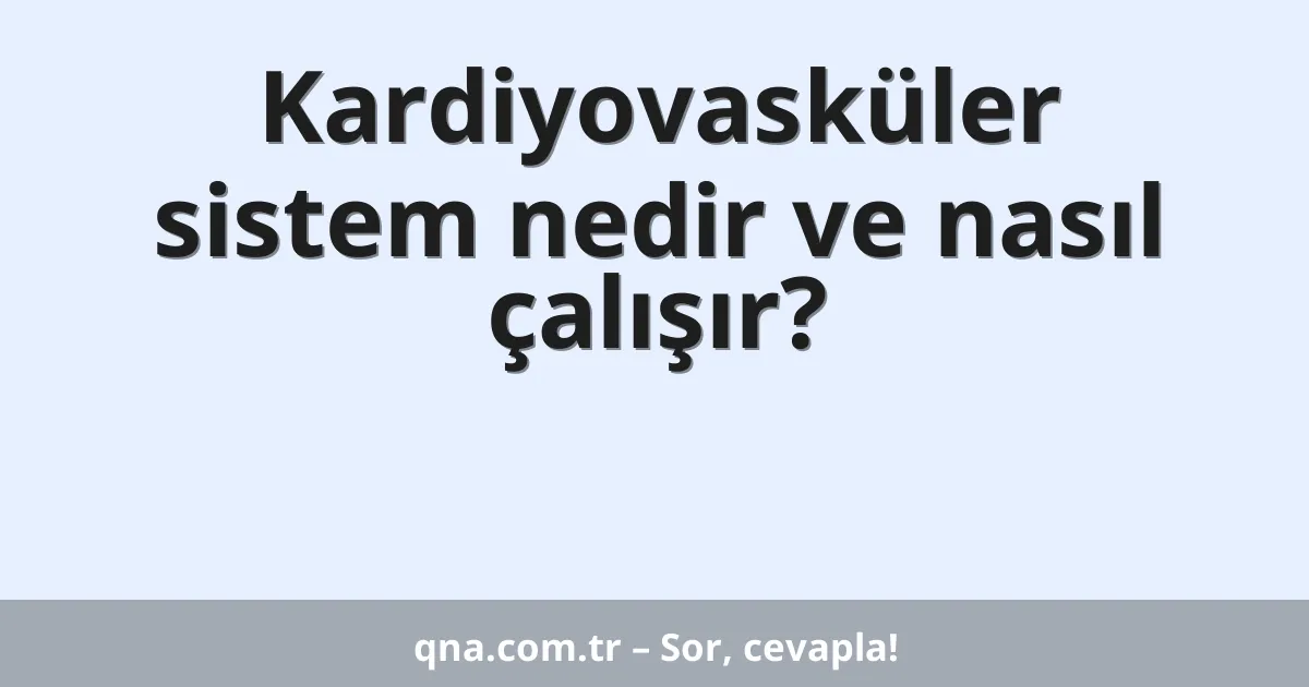 Kardiyovasküler sistem nedir ve nasıl çalışır?