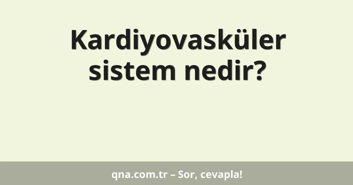 Kardiyovasküler sistem nedir?