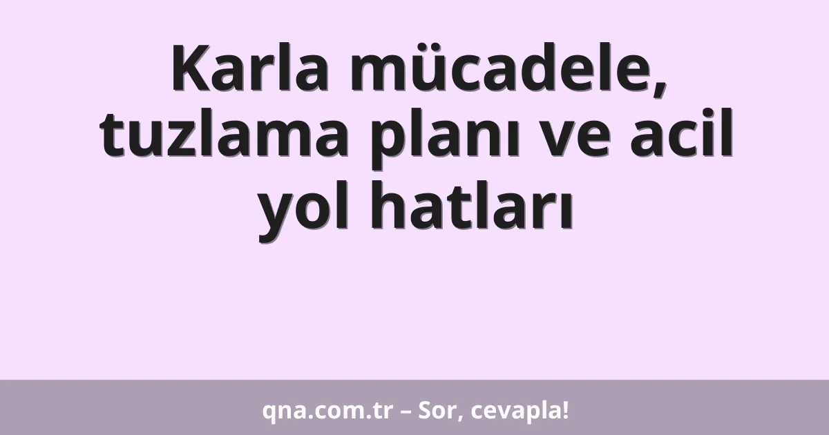Karla mücadele, tuzlama planı ve acil yol hatları