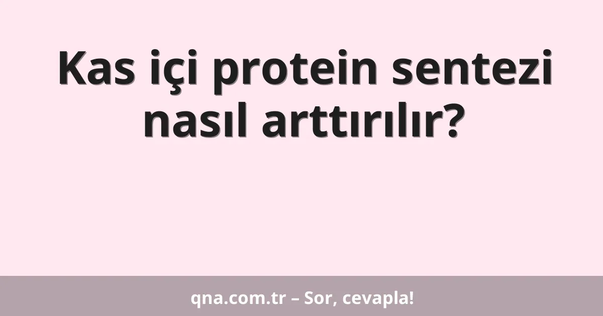 Kas içi protein sentezi nasıl arttırılır?