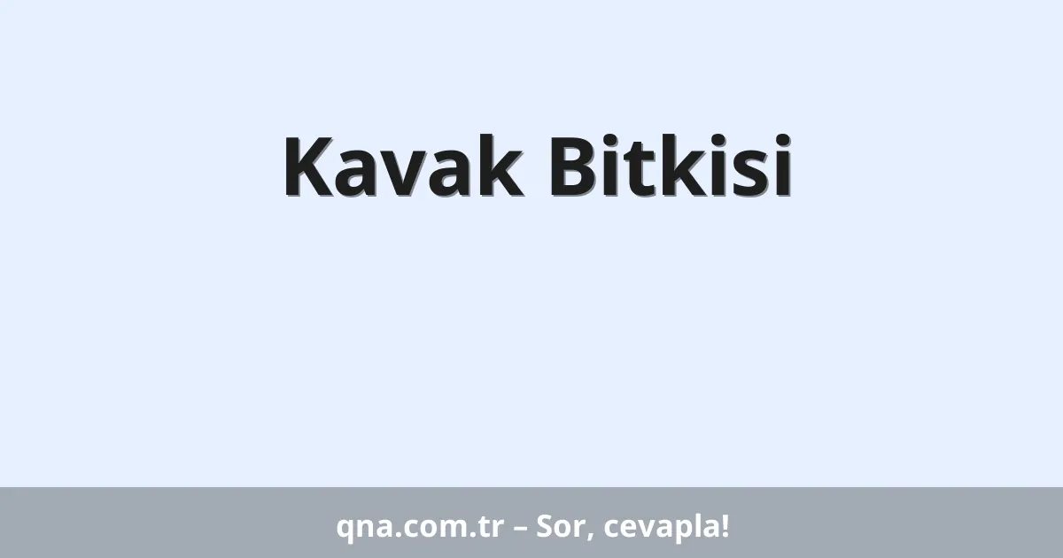 Kavak Bitkisi