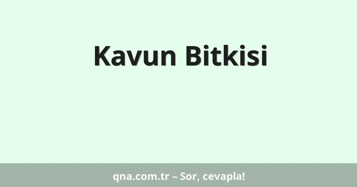 Kavun Bitkisi