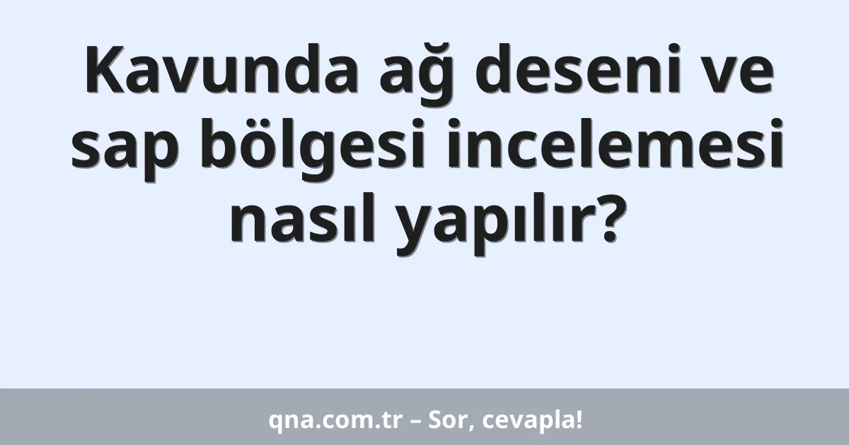 Kavunda ağ deseni ve sap bölgesi incelemesi nasıl yapılır?