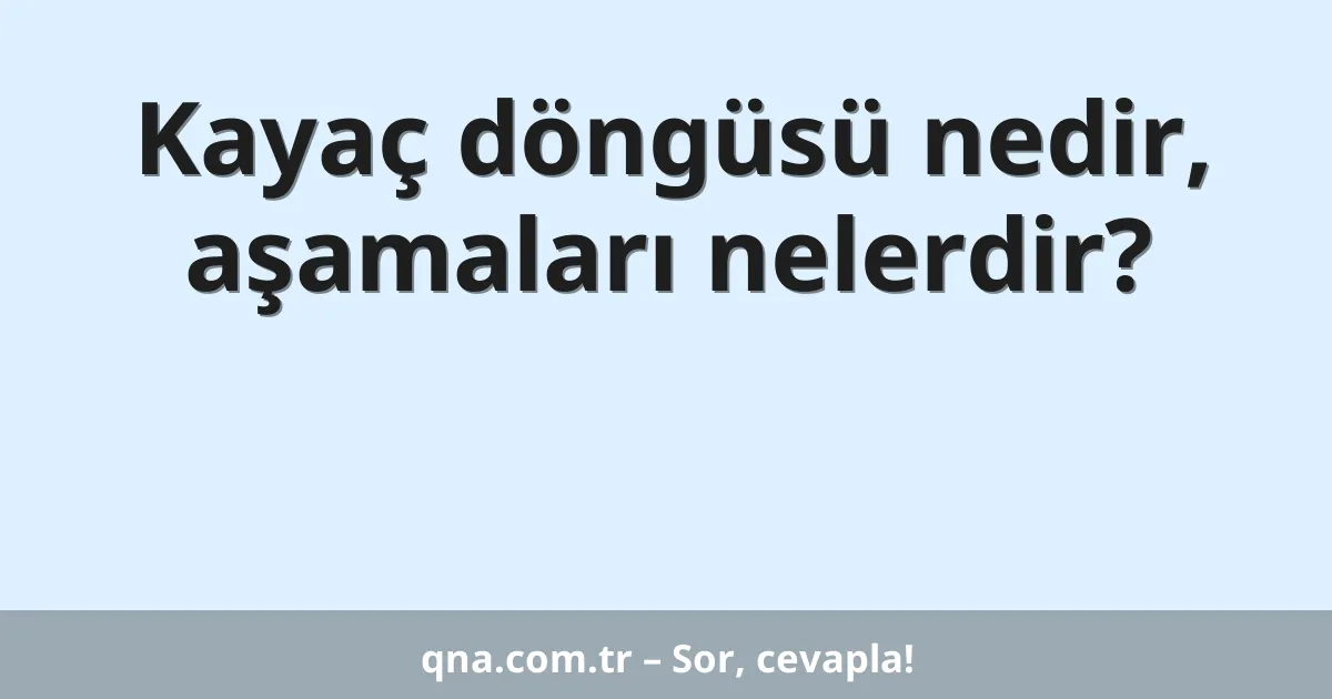 Kayaç döngüsü nedir, aşamaları nelerdir?