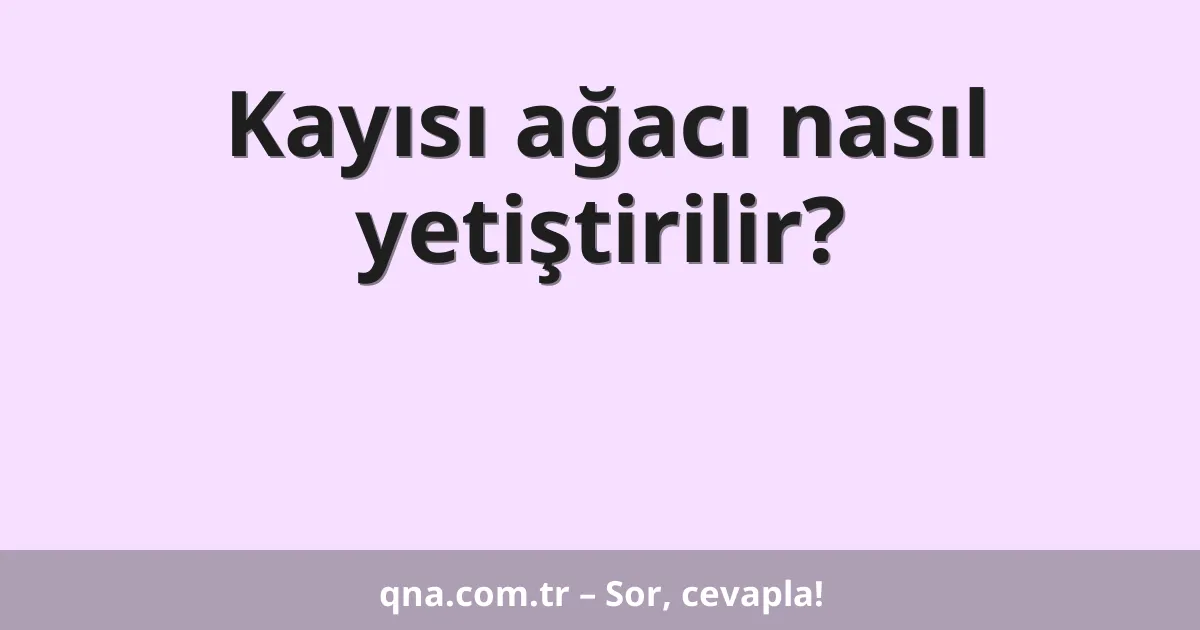 Kayısı ağacı nasıl yetiştirilir?