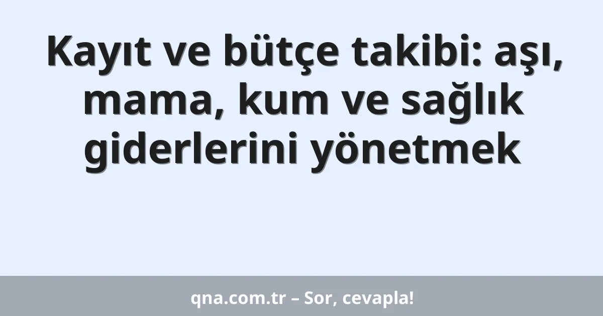 Kayıt ve bütçe takibi: aşı, mama, kum ve sağlık giderlerini yönetmek