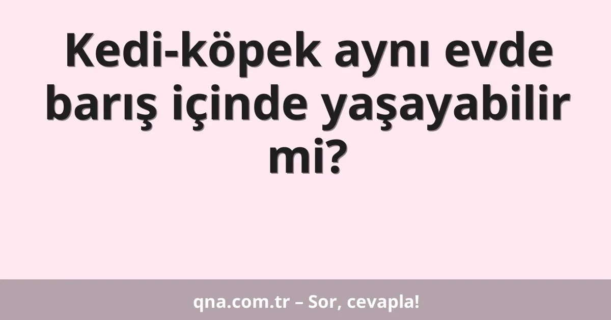 Kedi-köpek aynı evde barış içinde yaşayabilir mi?