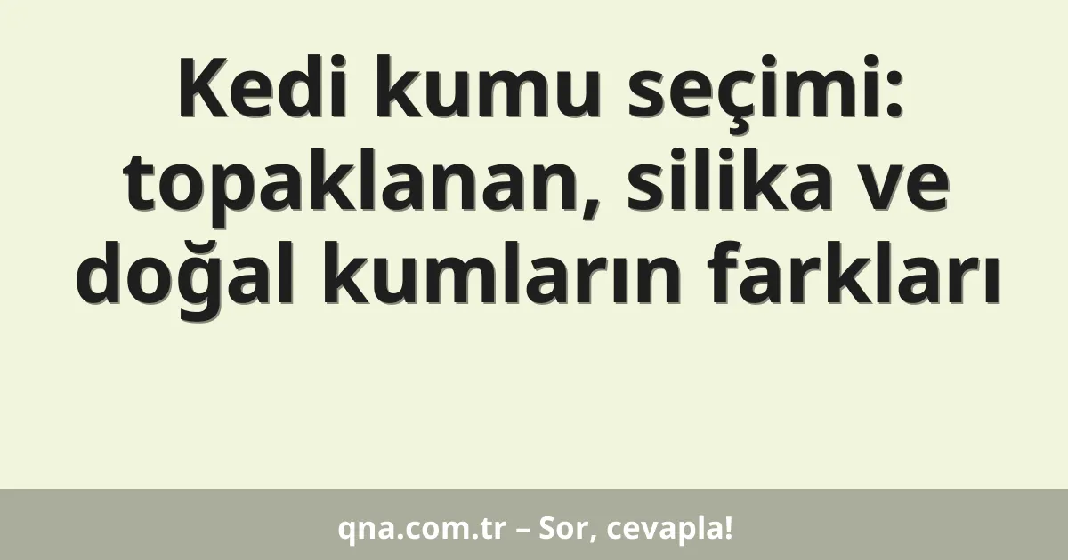 Kedi kumu seçimi: topaklanan, silika ve doğal kumların farkları