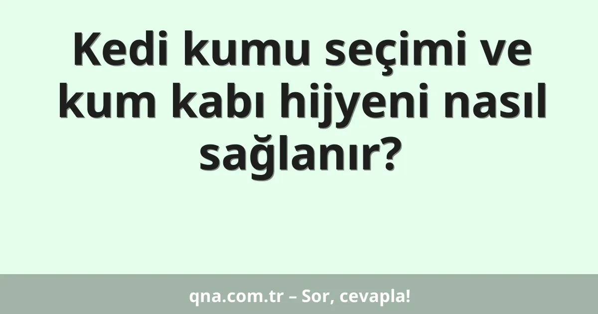 Kedi kumu seçimi ve kum kabı hijyeni nasıl sağlanır?