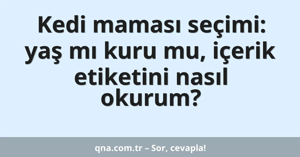 Kedi maması seçimi: yaş mı kuru mu, içerik etiketini nasıl okurum?