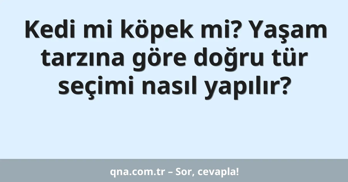 Kedi mi köpek mi? Yaşam tarzına göre doğru tür seçimi nasıl yapılır?