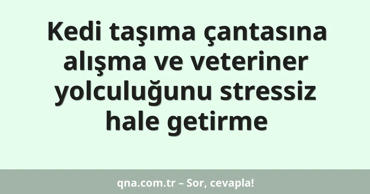 Kedi taşıma çantasına alışma ve veteriner yolculuğunu stressiz hale getirme