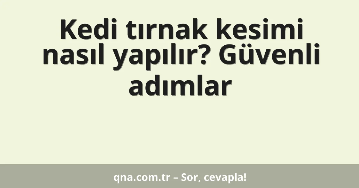 Kedi tırnak kesimi nasıl yapılır? Güvenli adımlar