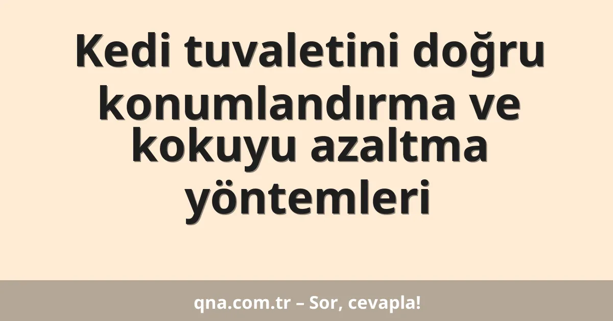 Kedi tuvaletini doğru konumlandırma ve kokuyu azaltma yöntemleri