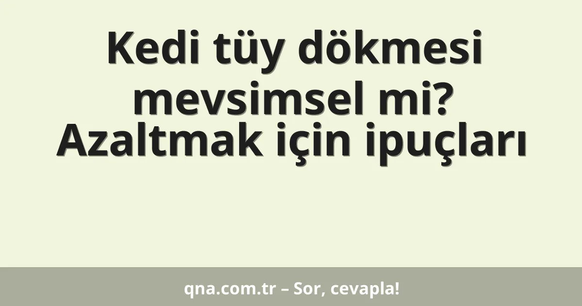 Kedi tüy dökmesi mevsimsel mi? Azaltmak için ipuçları