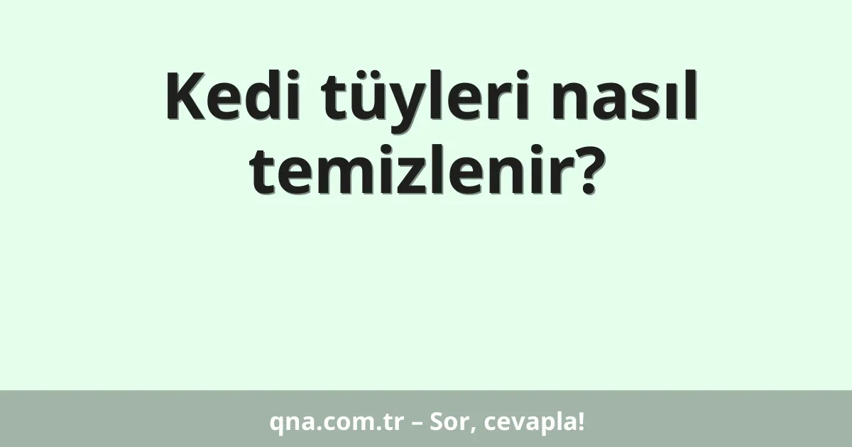 Kedi tüyleri nasıl temizlenir?
