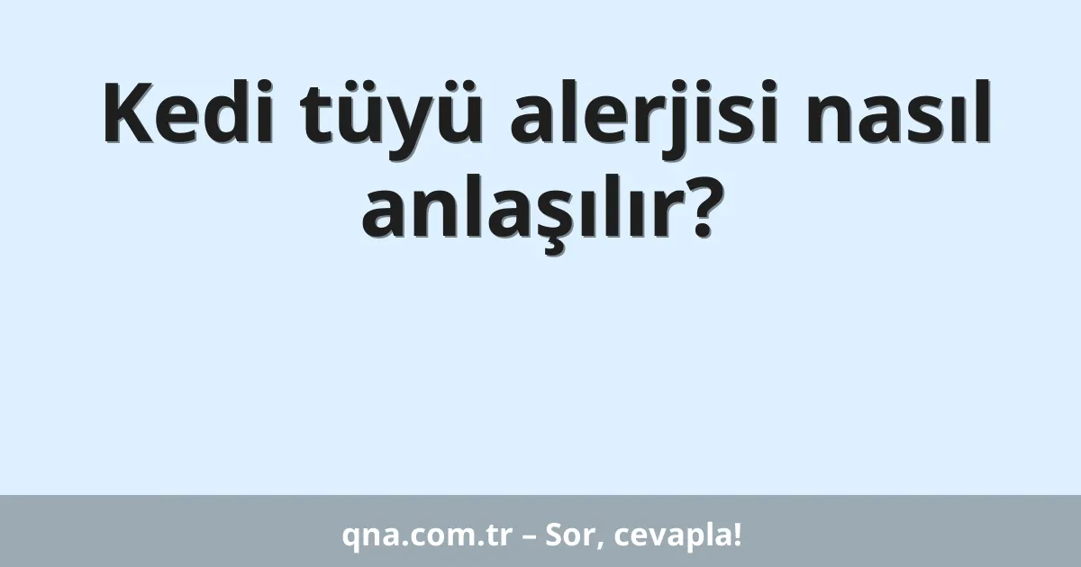 Kedi tüyü alerjisi nasıl anlaşılır?