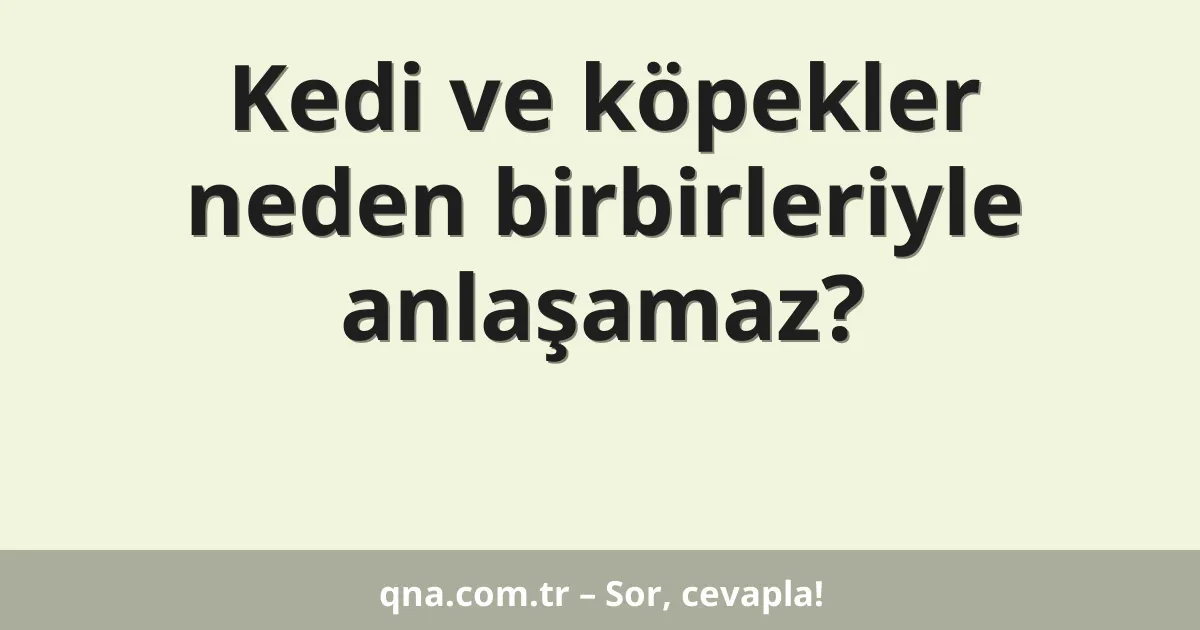 Kedi ve köpekler neden birbirleriyle anlaşamaz?