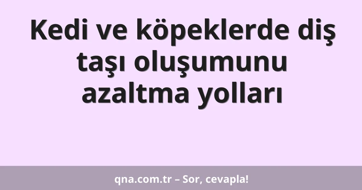 Kedi ve köpeklerde diş taşı oluşumunu azaltma yolları