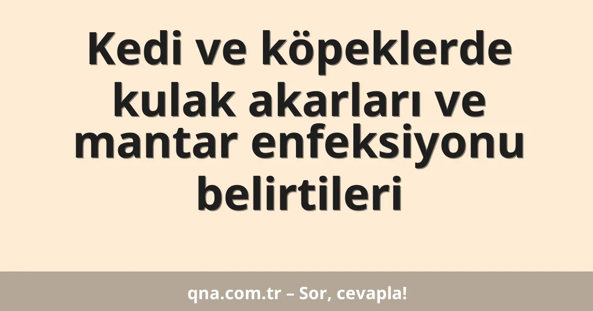 Kedi ve köpeklerde kulak akarları ve mantar enfeksiyonu belirtileri