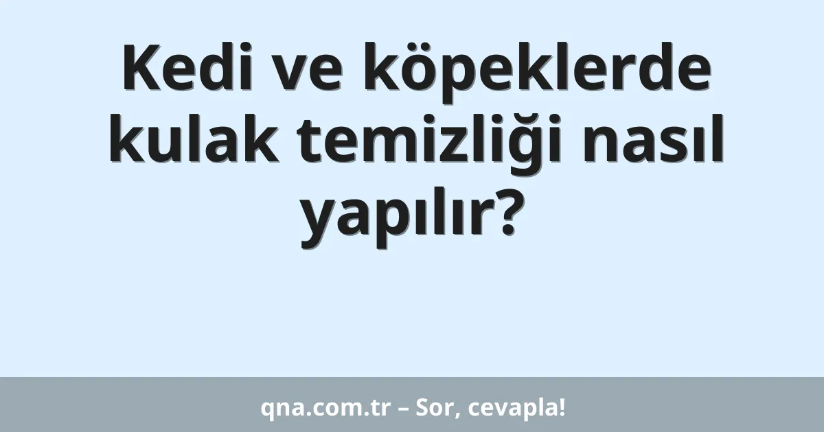 Kedi ve köpeklerde kulak temizliği nasıl yapılır?