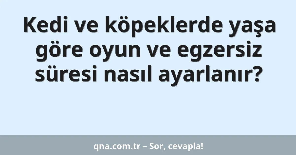 Kedi ve köpeklerde yaşa göre oyun ve egzersiz süresi nasıl ayarlanır?