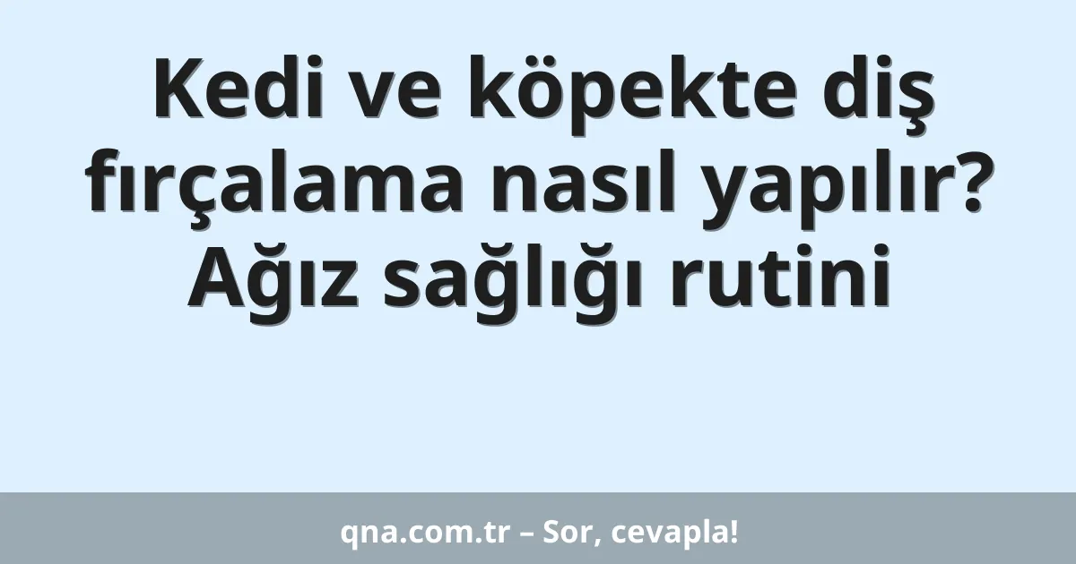 Kedi ve köpekte diş fırçalama nasıl yapılır? Ağız sağlığı rutini