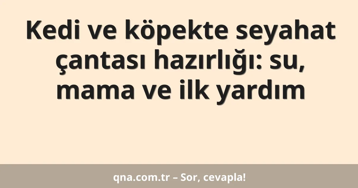 Kedi ve köpekte seyahat çantası hazırlığı: su, mama ve ilk yardım