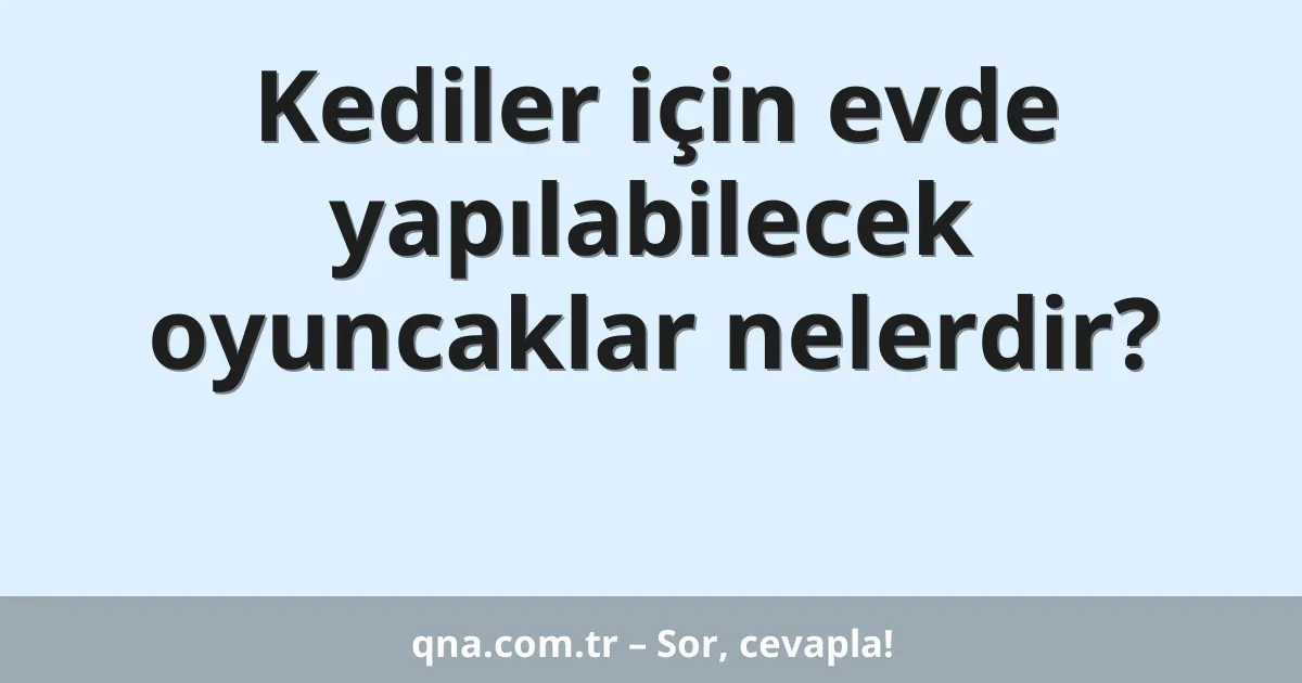 Kediler için evde yapılabilecek oyuncaklar nelerdir?