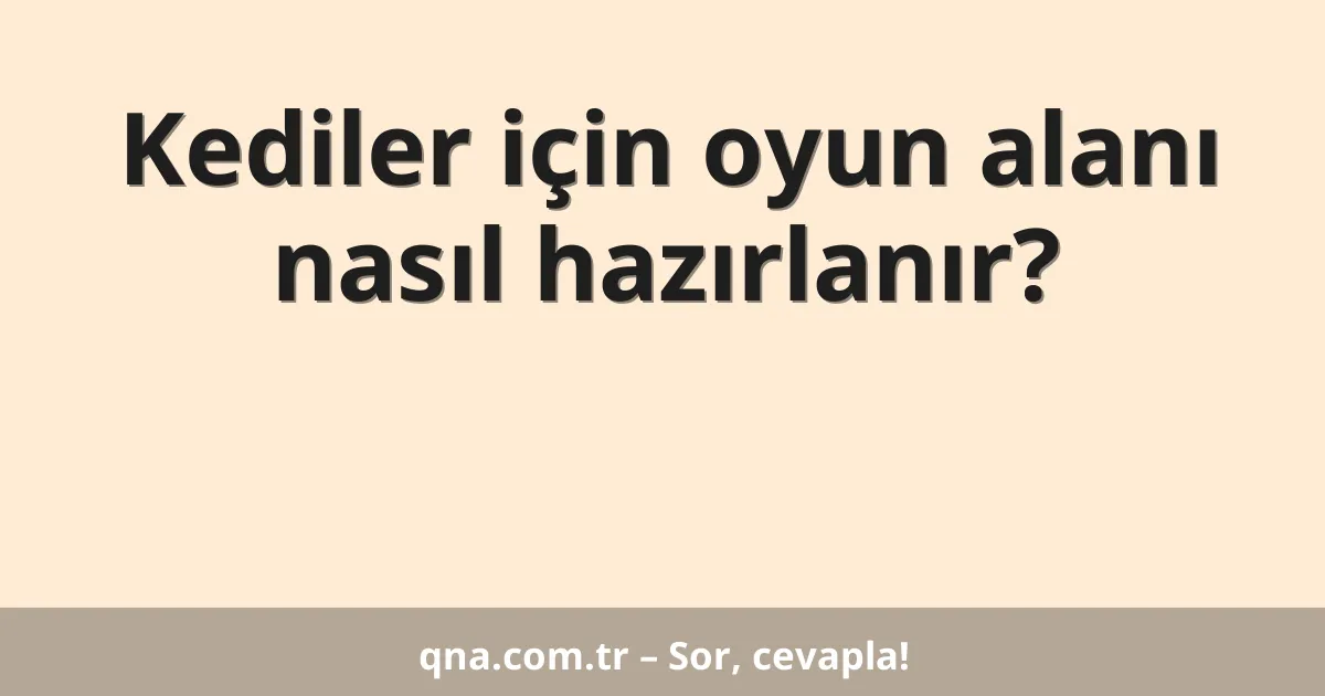 Kediler için oyun alanı nasıl hazırlanır?