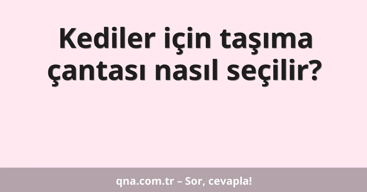 Kediler için taşıma çantası nasıl seçilir?