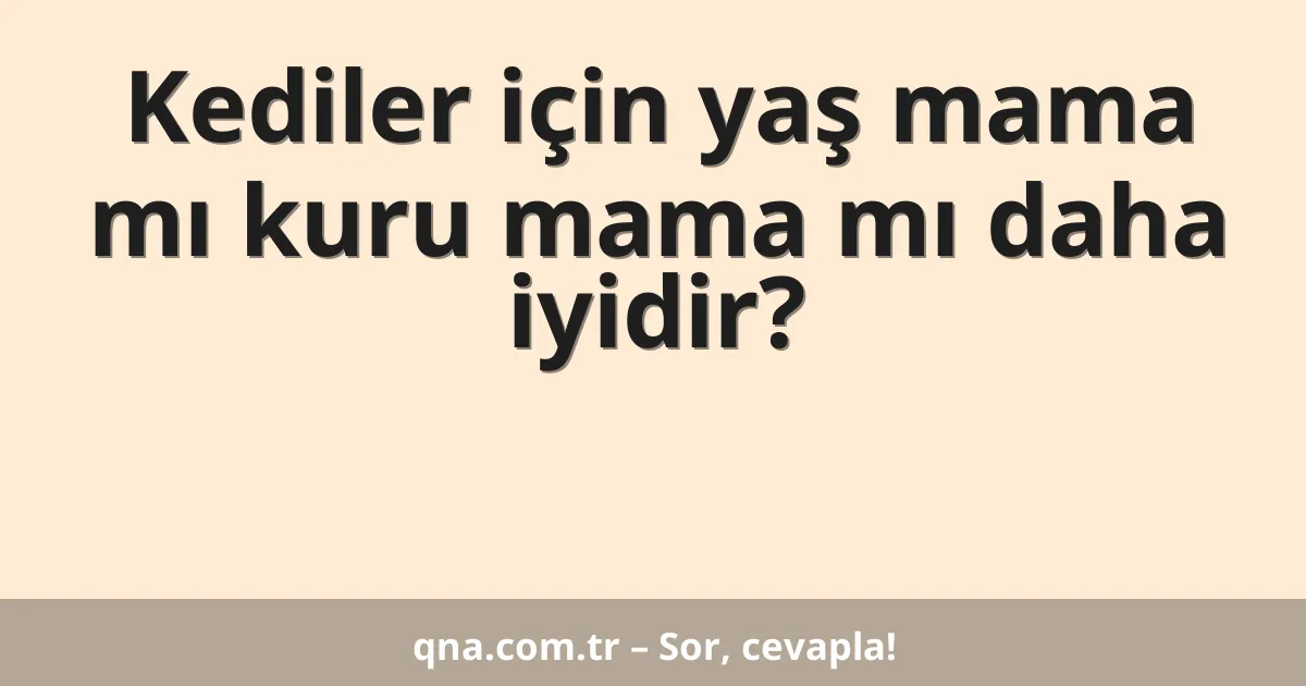 Kediler için yaş mama mı kuru mama mı daha iyidir?