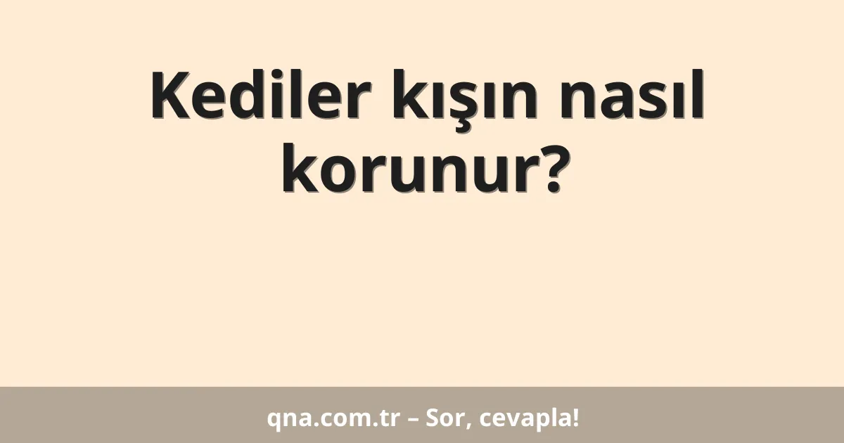 Kediler kışın nasıl korunur?