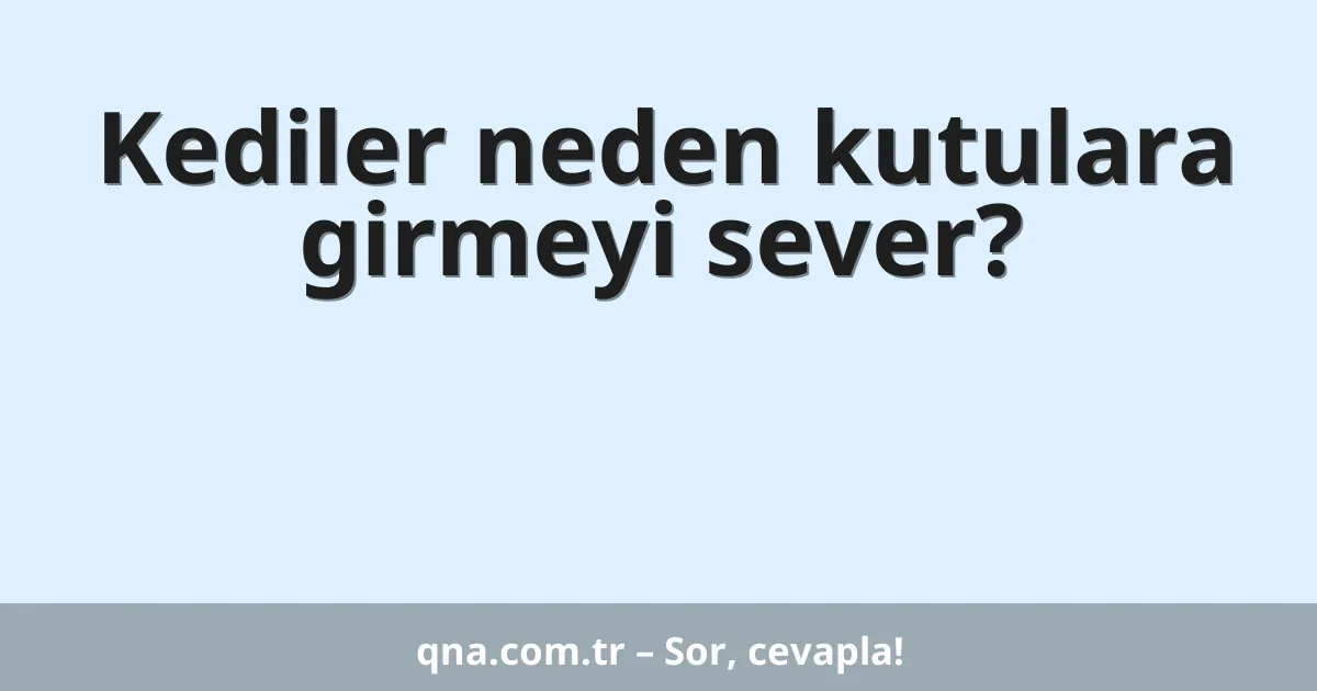 Kediler neden kutulara girmeyi sever?