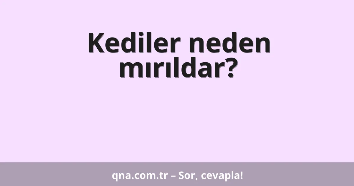 Kediler neden mırıldar?