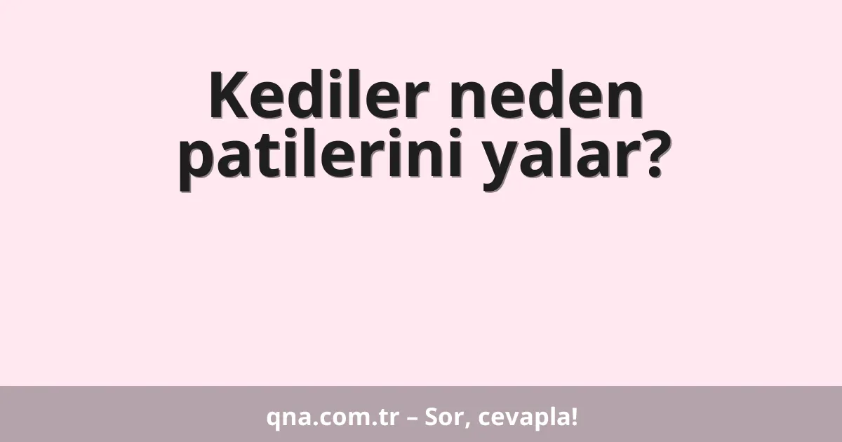 Kediler neden patilerini yalar?