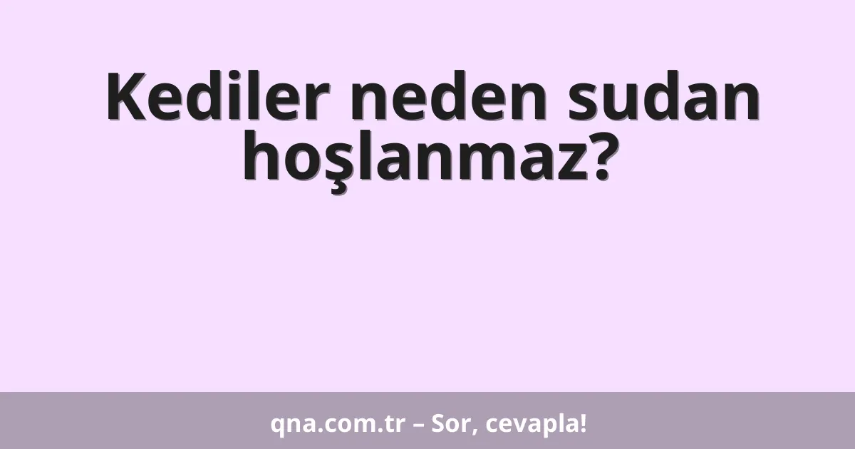 Kediler neden sudan hoşlanmaz?