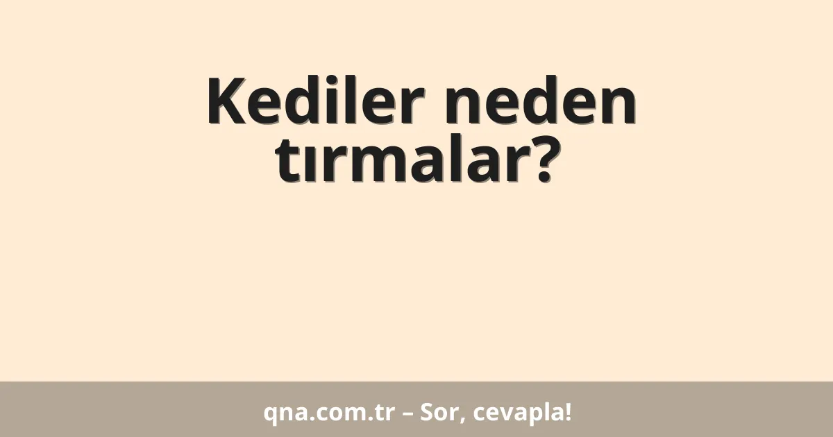 Kediler neden tırmalar?