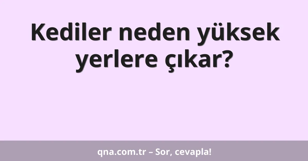 Kediler neden yüksek yerlere çıkar?