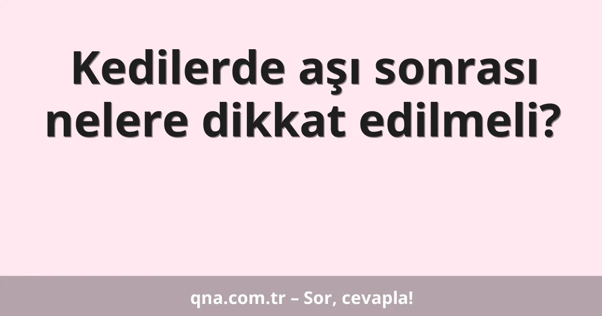 Kedilerde aşı sonrası nelere dikkat edilmeli?