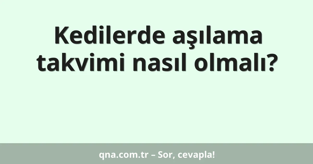 Kedilerde aşılama takvimi nasıl olmalı?