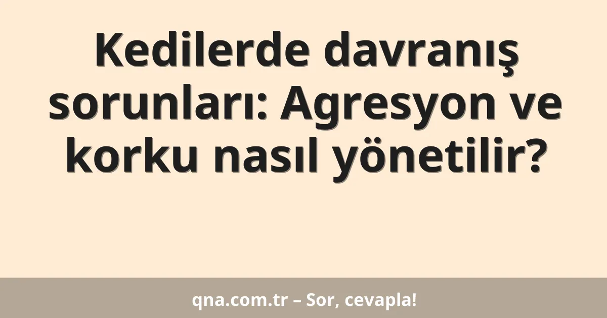 Kedilerde davranış sorunları: Agresyon ve korku nasıl yönetilir?