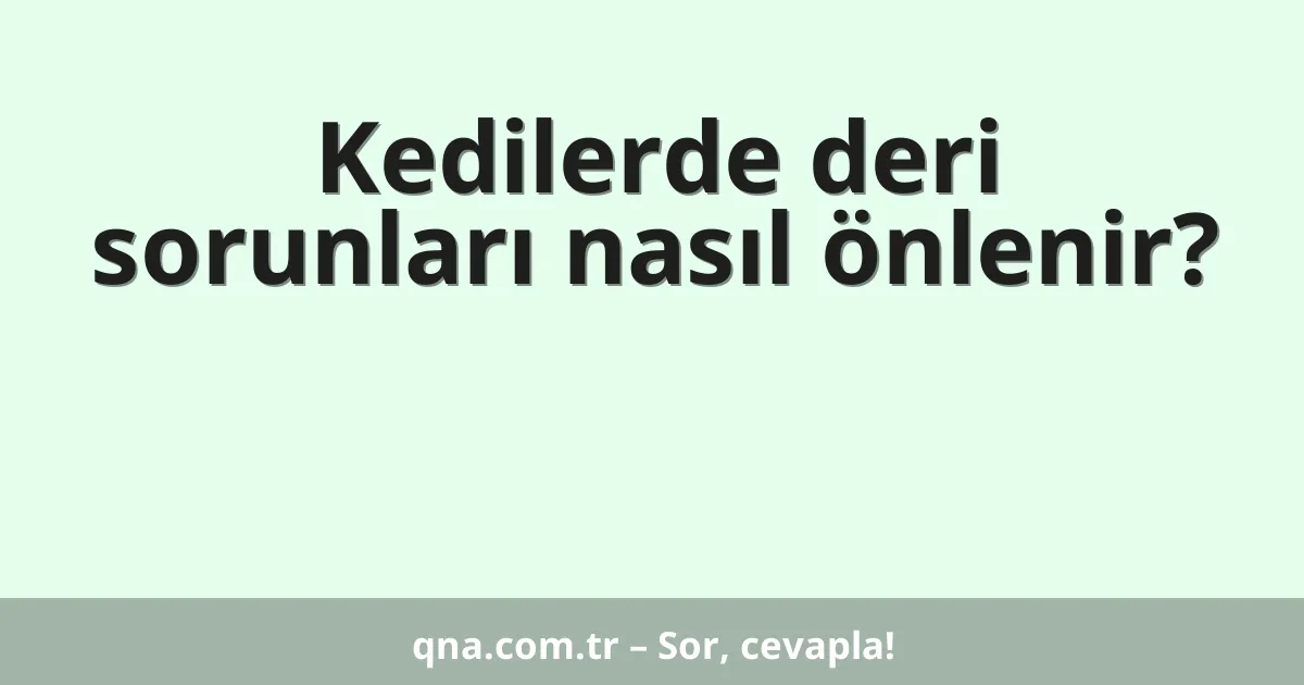 Kedilerde deri sorunları nasıl önlenir?