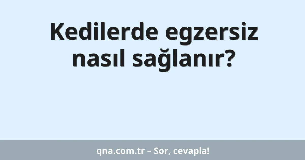 Kedilerde egzersiz nasıl sağlanır?