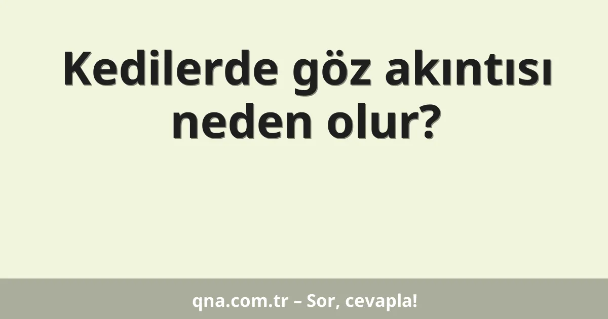 Kedilerde göz akıntısı neden olur?