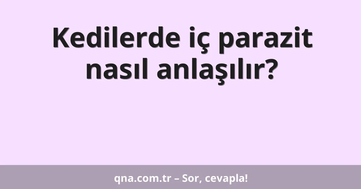 Kedilerde iç parazit nasıl anlaşılır?