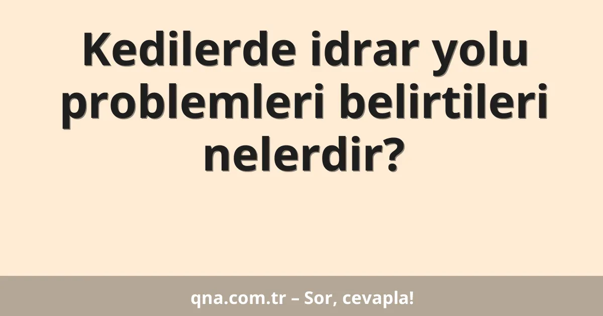 Kedilerde idrar yolu problemleri belirtileri nelerdir?