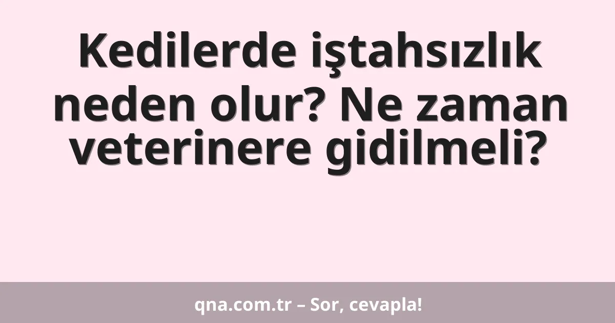 Kedilerde iştahsızlık neden olur? Ne zaman veterinere gidilmeli?